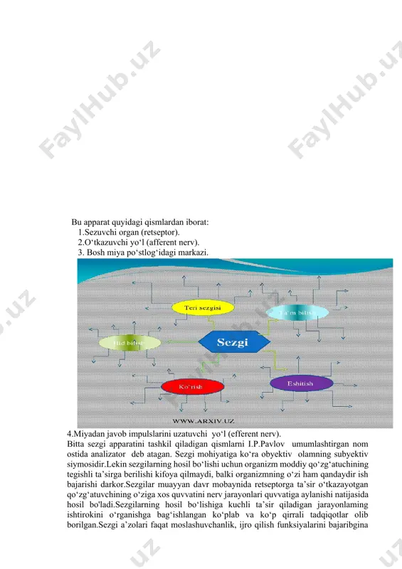 on qoldingiz. biroz vaqt o‘tgach, bu hidni payqamay qo‘ydingiz. sensor adaptatsiya moslashuv,bu sizning oldingi holatingiz o‘zgarmagan holda keyingi holatga kirishish jarayonidir. bu holat siz qo‘l soatingizga qarab olgan vaqt davomida sodir bo‘ladiyu, siz buni bir necha soniyalargina his qilasiz. holatga moslashganimizdan so‘ng nerv hujayralarimizda o‘sha holatga moslashish hissi uyg‘onadi. sezgi a’zolarining sezuvchanligini oshishiga olib boradigan ikki soha mavjuddiligi. 1) sensor nuqsonlar (ko‘rlik, karlik)ning o‘rnini to‘ldirish zaruratidan kelib chiqadigan sezuvchanlikning ortishi. 2) subyekt faoliyati tufayli kasbiga xos talablardan kelib chiqadigan sensibilizatsiya (sezuvchanlikning ortishi). ko‘rish yoki eshitish sezgisining yuqolganligi ma’lum darajada sezuvchanlikning boshqa turlarini rivojlantirish hisobiga to‘ldiriladi, masalan, ko‘ra olmay qolgan kishilar haykaltaroshlik bilan shug‘ullanganlar, chunki ularda tuyish sezgisi yuksak rivojlangan bo‘ladi. ba’zan maxsus kasb bilan uzoq vaqt mobaynida shug'ullanish ham sezgi a’zolarining sezuvchanligi kuchayishiga olib kelganligini ko‘rish mumkin, masalan, choy, pishloq, vino, tamaki sifatini aniqlovchilarda hid va ta’m bilish sezgilari yuksak darajada mukammallashgan bo‘ladi. mehnat faoliyati talablari ta’siri ostida sezgilar rivojlanishi …
