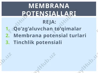 membrana potensiallari — PPTX