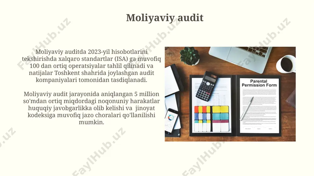 auditning turlari va shakllari tavsifi - Page 4
