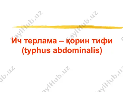 ич терлама –қорин тифи (typhus abdominalis) — PPTX