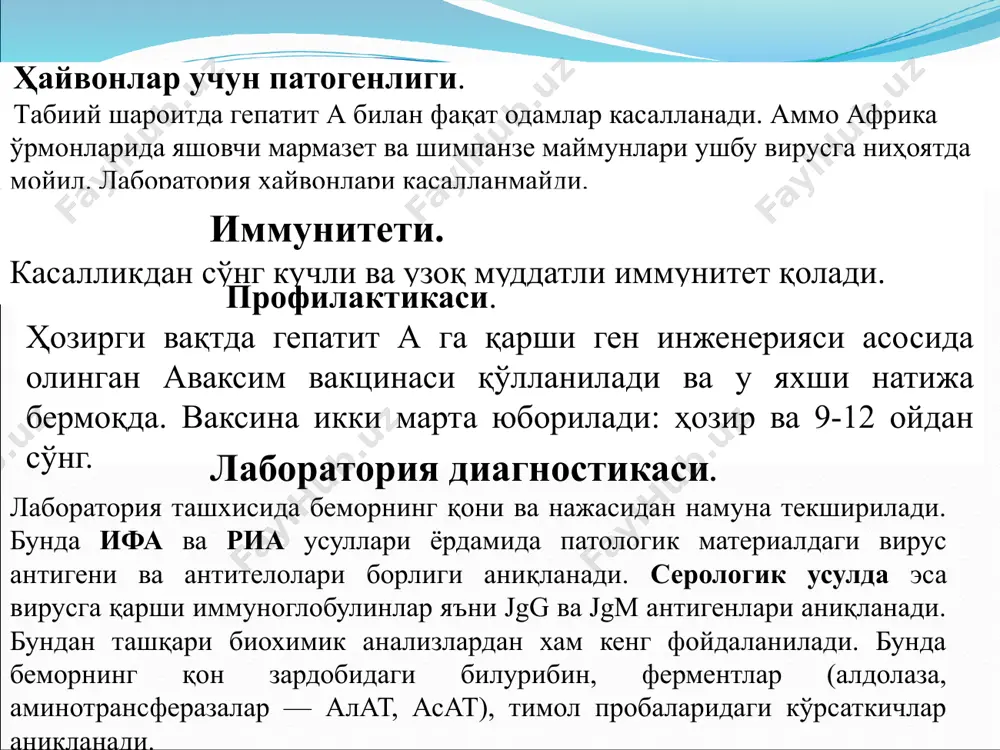 ҳосил бўлиши сустлашади. hbv фақат гепатотцитларгагина таъсир қилиб қолмасдан, балки макрофагларга ҳам таъсир кўрсатади ва баъзан ўзининг днк геномини макрофаг геномига бириктириши ҳам мумкин. макрофаг мембранасидаги вирус антигенлари эса гуморал иммунитетни фаоллаштиради. натижада hbs, hbc, hbe антителолар синтез килинади. макрофагларни вируслар билан зарарланишида т - хелперлардагидек антигенларни топишда нуқсонлар вужудга келади. бу ҳолатда иммун танқислик ривожланиб, гепатит в персинтенциясига сабаб бўлади. гепатит в да касаллик кўпинча оғир кечади. жигарнинг ўткир дистрофияси, 10-15% ҳолатларда сурункалик формага ўтиши кузатилади. жигарда бирламчи ўсма касаллигининг ривожланишига олиб келади. лаборатория диагностикаси. беморларнинг конида hbs, hbc, hbe антителолалари пайдо бўлади. hbs антигени кўпроқ касалликнинг сурункали ва иситмасиз формаларига хос. hbe ва hbc антителалари эса касал тузалгандан сўнг ҳам 7 - 9 ойларгача сакланиб колиши мумкин. шу сабабли, уларнинг диагностик аҳамияти катта. демак, ташхис қўйишда асосан серологик усуллардан фойдаланилади. бунда касалнинг кон зардобидаги антиген ва антителолалар иммунофермент анализи (ифа), радиоиммун анализи (риа) орақали аниқланади. бундан ташкари биохимик …