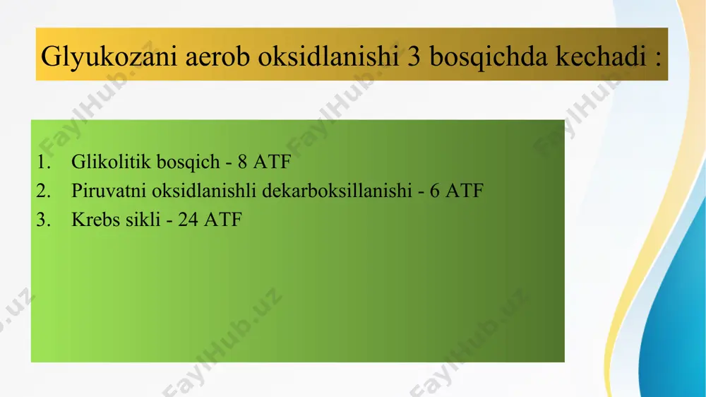 di hamda ribu1ozo-5-fosfat va 2 molekula nadfh hosil bo‘ ladi: pentozofasfat yo'li oksidlanish bosqichining umumiy tenglamasi: oksidlanish bosqichining reaksiyalari hujayralarda nadfh ning ososiy manbayi bo‘1ib xizmat qiladi. oksidlanmovchi bosqich. pentozofosfat yo‘ lining oksidlanmov- clii bosqichi ribulozo-5-fosfatning ribozo-5-fosfatga hamda ksilulozo 5-fosfatga aylanishi va keyinchalik uglerod fragnaentlarining glikoliz metabolitlari - fruktozo-6-fosfat va glitseraldegid-3-fosfatga o’tishi hisobidan yuzaga keladigan qaytar reaksiyalarni o‘z ichiga oladi. bu almaslıinuvlarda quyidagi fermentlar ishtirok etadi: epimeraza, izoıneraza, transketolaza va transaldolaza. oksidlanmovchi bosqich degidrirlanish reaksiyalarini o‘z ichiga olmaydi va shu sababli faqatgina pentozalar sintezida foydalaniladi va bu reaksiyalaim transketolaza fermenti katalizlaydi glyukozo-6-fosfat degidrogenaza fermentining nuqsoni tufayli millionlab insonlarni zararlovchi enzimopatiya rivojlanadi. o’rta yer dengizi mintaqasida yashovchi insonlaming 10 %ida mazkur genetik nuqson bo’ladi. bu kasallikda eritrotsitlarda qaytarilgan glutation konsentratsiyasi past bo’lib, bu eritrotsitlarda ko‘plab erkin radikallaming hosil bo‘ lishiga olib keladi. buning natijasida eritrotsitlaming gemolizi kuzatiladi. bu jarayon ba’zi dori moddalarini, masalan bezgakka qarshi ishlatiladigan preparatlar qo‘ llanilganda og‘ ir …