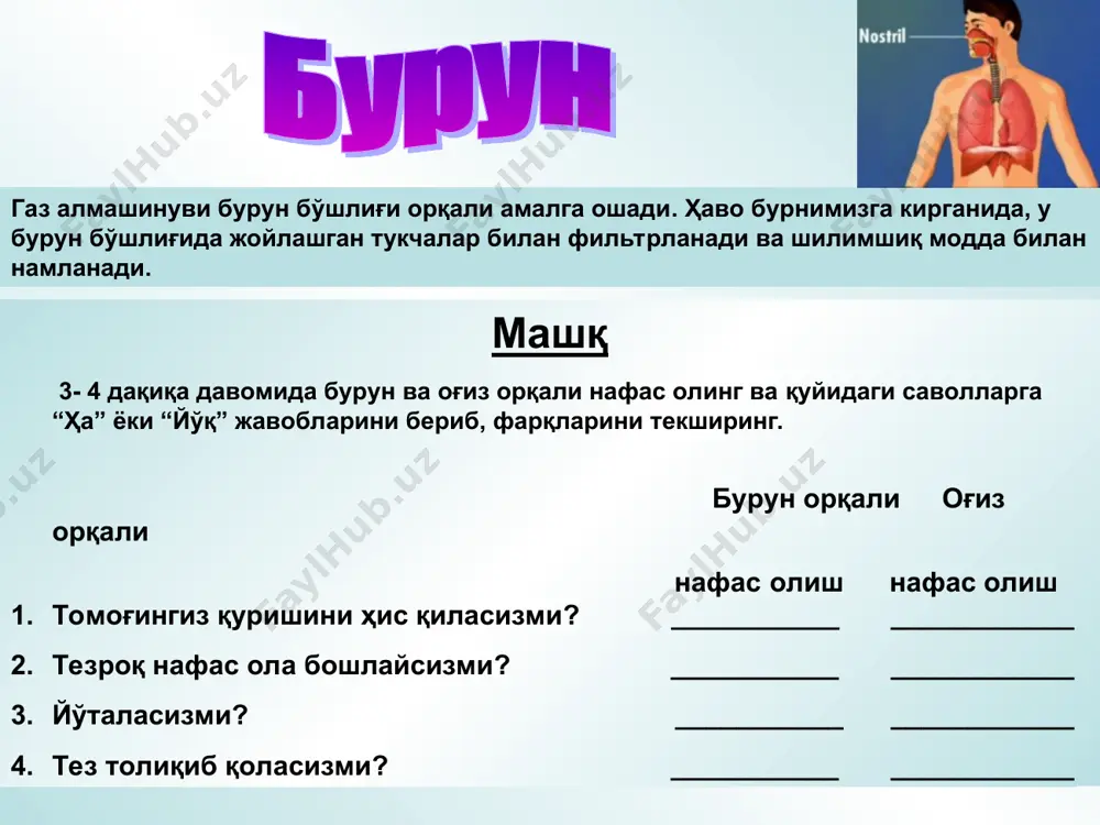 "одамнинг нафас олиш тизими" - Page 5