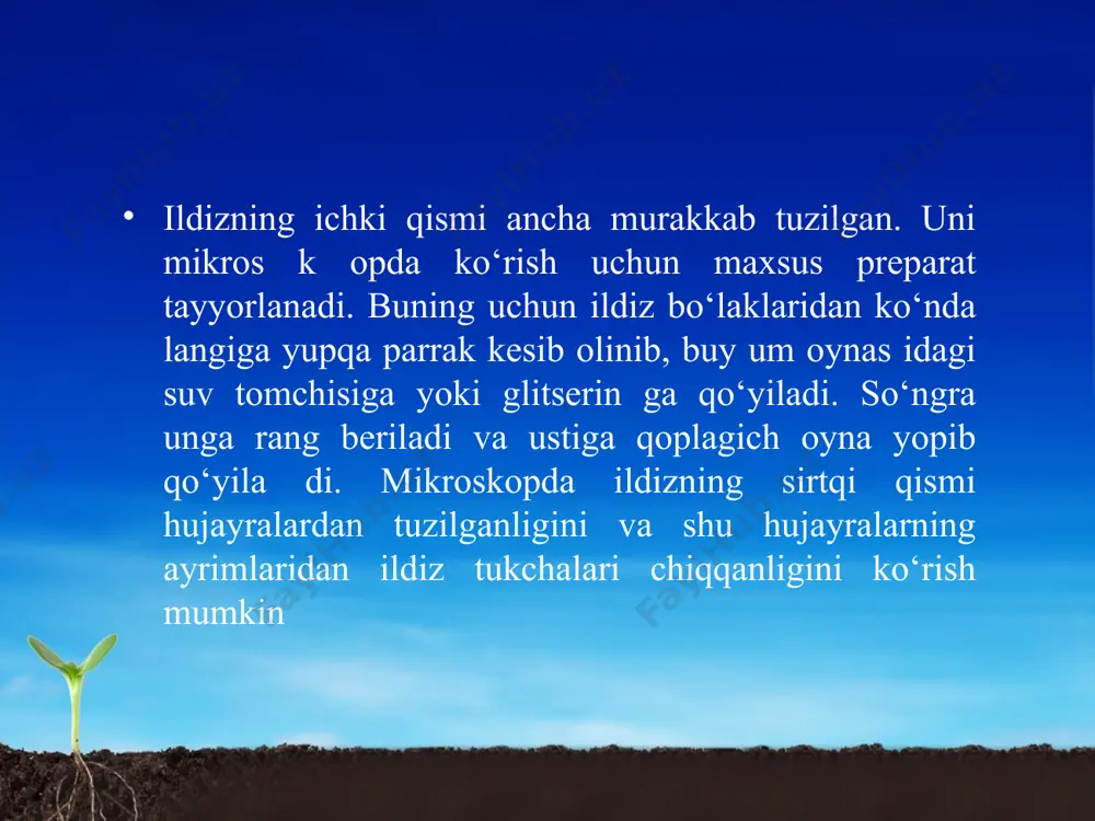 ildizning tashqi va ichki tuzilishi. 5 - sinf - Page 4