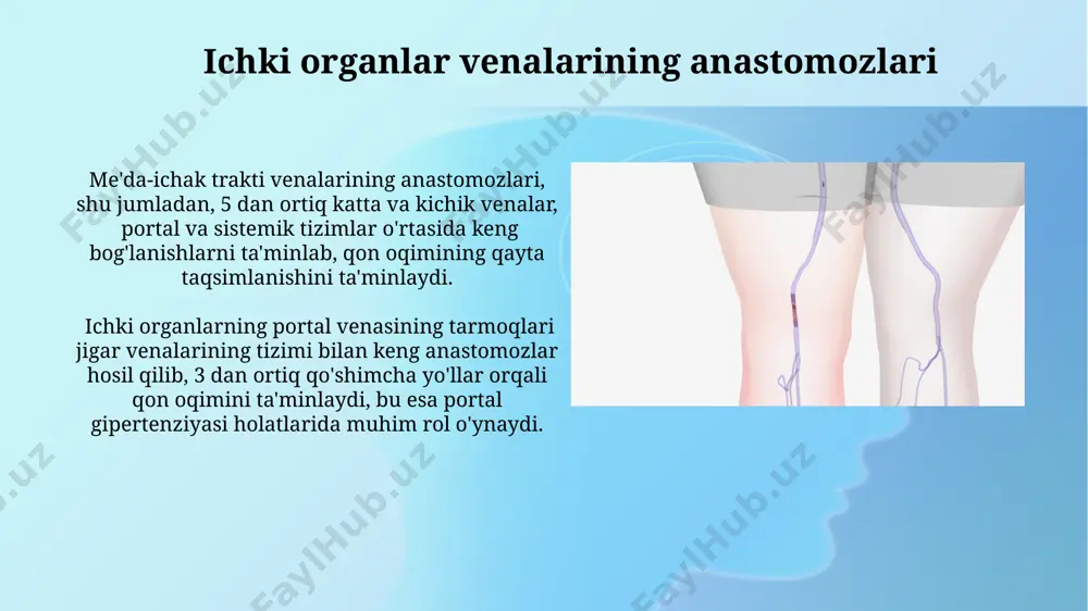 alari bilan chuqur venalar o'rtasida, taxminan 10 dan ortiq kichik anastomozlarni o'z ichiga oladi, bu esa kolateral qon aylanishini ta'minlaydi. ko'krak qafasi venalarining anastomozlari azygos va hemiazygos venalar orqali umurtqa pog'onasidagi chuqur va yuzaki venalar bilan keng anastomozlar mavjud bo'lib, bu orqa qismdan vena qonining yuqori va pastki kavaga oqishini ta'minlaydi. ko'krak qafasi venalarining anastomozlari, xususan, yuqori va pastki kavalararo venalar orqali, qon oqimining ikki yo'nalishda harakatlanishiga imkon beradi va bu 10-15% gacha bo'lgan qon oqimini ta'minlaydi. qorin bo'shlig'i venalarining anastomozlari qorin bo'shlig'i venalarining anastomozlari, xususan, porta-kavali anastomozlar, 3 ta asosiy guruhga bo'linadi: oshqozon-qizilo'ngach, rekto-anal va umbilical hududlarida joylashgan bo'lib, portal gipertenziyasi sharoitida kengayadi. retroperitoneal venalar, katta va kichik lomber venalar orqali, pastki kav venasi bilan keng anastomozlar hosil qiladi, bu esa qorin bo'shlig'idagi qon oqimini ta'minlashda muhim rol o'ynaydi. klinik ahamiyati portal gipertenziyasi holatlarida porto-kavalar anastomozlarining kengayishi jigar sirrozi va boshqa jigar kasalliklarining 70% dan ortig'ida kuzatiladi, bu esa …