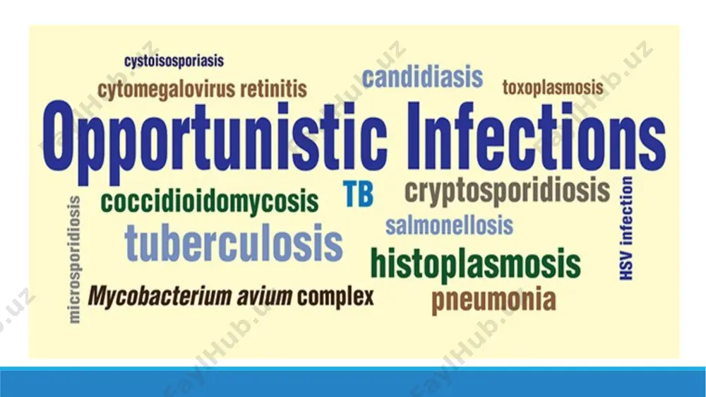 shqari, erkaklar bilan jinsiy aloqada bo'lgan erkaklar prostata beziga ta'sir qilishi mumkin. salmonella infektsiyasi - ichaklarga ta'sir qiluvchi bakterial infektsiya kandidoz - og'iz, bronxlar, traxeya, o'pka, qizilo'ngach yoki qinning zamburug’li infektsiyasi toksoplazmoz - miyaga ta'sir qilishi mumkin bo'lgan parazitar infektsiya pneumocystitis pnevmoniya (pcp) - qo'ziqorin (pneumocystitis jirovecii) keltirib chiqaradigan o'pka infektsiyasi. sil kasalligi - o'pkaga ta'sir qiladigan bakterial infektsiya, shuningdek, buyraklar, miya, teri, limfa tugunlari va ko'zlar kabi tananing boshqa qismlariga ta'sir qilishi mumkin. oi ni davolash antibiotiklar yordamida keltirib chiqargan sababiga qarab davolanadi. oi muvaffaqiyatli davolangandan so'ng, odam oi qaytib kelishining oldini olish uchun xuddi shu dori yoki qo'shimcha dori foydalanishni davom ettirishi mumkin. e’tiboringiz uchun rahmat! image1.jpeg image2.jpeg image3.jpeg image4.jpeg print /docprops/thumbnail.jpeg