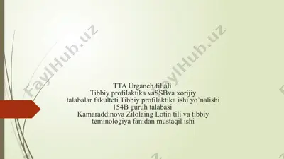 rim raqamlari — PPTX