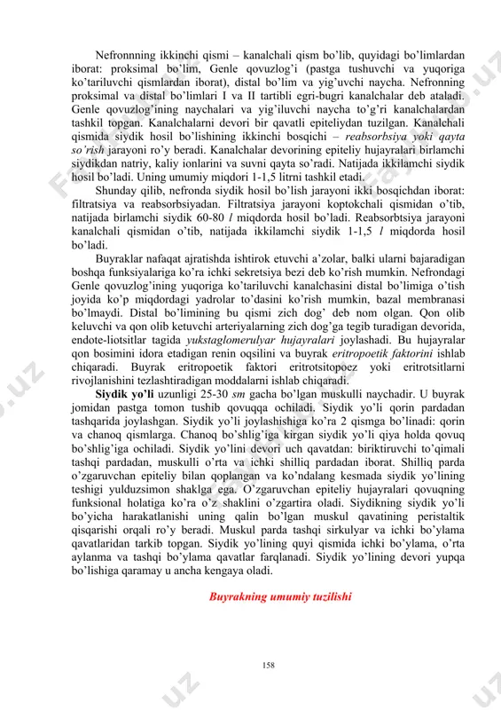 rni asoslarida yoysimon arteriyalar bilan tugallanadi. yoysimon arteriyalar po’st va mag’iz modda chegarasida joylashib, o’zidan ikki xil tomirlarni hosil qiladi: birinchi xili po’st moddasiga bo’lakchalararo arteriyalar bo’lib kiradi, ikkinchisi esa mag’iz moddasiga o’tib qon kapillyarlariga tarmoqlanib ketadi. bo’lakchalararo arteriyalar qon olib keluvchi arteriyalarga tarmoqlanib ketadi. qon olib keluvchi arteriyalar esa o’z navbatida tomirlar koptokchasining kapillyarlariga tarmoqlanadi. tomirli koptokcha o’ziga xos xususiyatlarga ega: a) koptokcha kapillyarlari modda alma-shinuvida ishtirok etmasdan, chiqindi moddalarni filtrlashda ishtirok etadilar. b) koptokchadagi kapillyarlar tizimi ikkita arterial tomirlar orasida hosil bo’ladi. koptokcha kapillyarlari qayta yig’ilib, qon olib ketuvchi arteriolani hosil qiladi. qon olib ketuvchi arteriolani diametri qon olib keluvchi arteriolaga qaraganda kichik bo’ladi. ikkita arteriola diametrlari orasidagi farq koptokcha kapillyarlarida 70 mm rt.st. ga teng qon bosimini saqlanib turishini ta’minlaydi va shu bosim tufayli siydik hosil bo’lish jarayoni ro’y beradi. qon olib ketuvchi arteriola nefronning kanalchali qismida ikkilamchi qon kapillyarlariga tarmoqlanib ketadi. qon kapillyarlar turini bir joyda …
