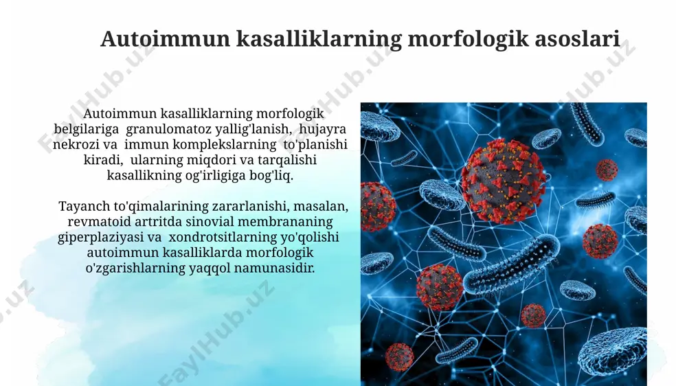 , jigar va teri to'qimalarida granulomatoz yallig'lanish jarayonlari ko'p uchraydi. antijen taqdimotchi hujayralar ath ning morfologiyasi, ularning antigenni qabul qilish, qayta ishlash va taqdim etish samaradorligiga ta'sir qiladi; masalan, dendritik hujayralarning uzun, nozik sitoplazma uzilishlari antigenlarni ushlashda muhim rol o'ynaydi. mhc ii molekulalari yordamida antigenlarni cd4+ t-yordamchi hujayralariga taqdim etish ath ning asosiy funksiyasi hisoblanadi va bu jarayon 10 dan ortiq sitokinlarning ishlab chiqarilishini qo'zg'atishi mumkin. limfa tugunlari va limfa aylanishi limfa tugunlarida b-hujayralarining 70% gachasi germinal markazlarda joylashgan bo'lib, bu yerda antijen taqdimotchi hujayralar bilan o'zaro ta'sir o'tkazib, immunitet javobini shakllantiradi. inson tanasida 600 dan ortiq limfa tugunlari mavjud bo'lib, ular limfa tomirlari orqali bir-biri bilan bog'langan murakkab tarmoq hosil qiladi. yallig'lanish jarayoni va uning morfologik belgilari yallig'lanish hujayralari, masalan, neytrofillar (60-70%), makrofaglar va limfotsitlar sonining ko'payishi yallig'lanish joyida to'qimalarning morfologik o'zgarishlariga olib keladi, infiltratsiyani hosil qiladi. yallig'lanishning eksudativ bosqichida 24 soat ichida seroz, fibrinöz yoki purulent eksudatlarning to'planishi …