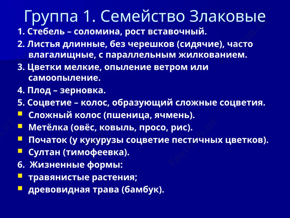 однодольные - Page 5