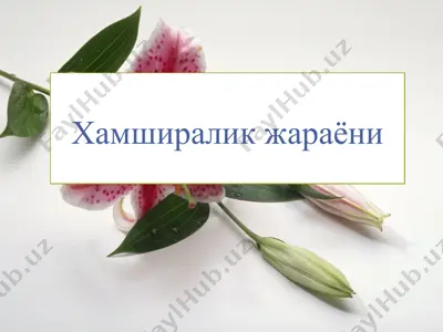 hamshiraliq jarayoni — PPT