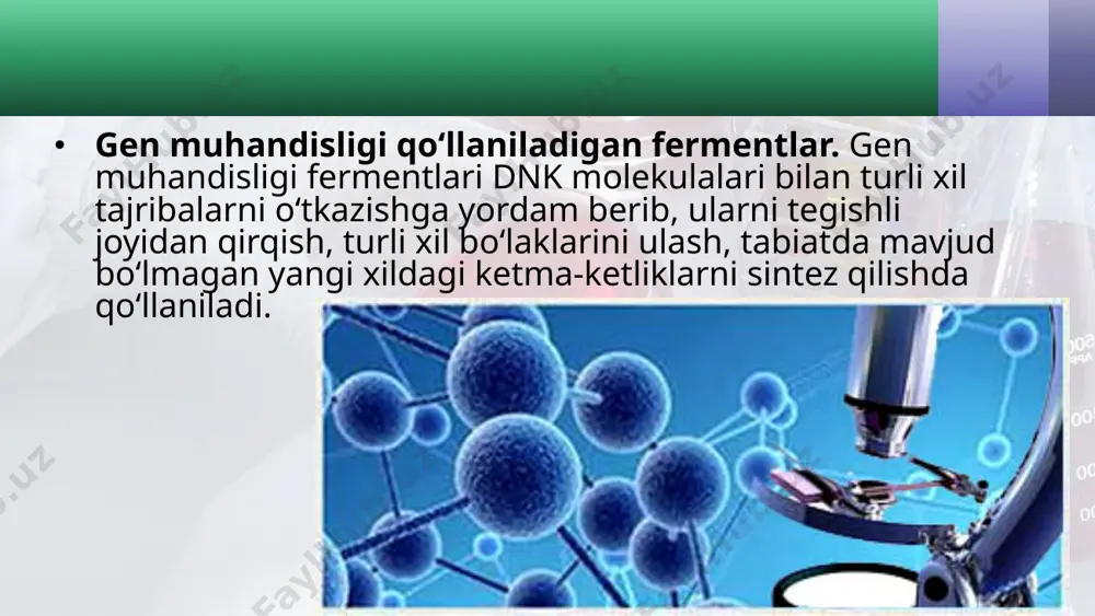 shu xususiyati tufayli bu xil restriktazalar gen muhandisligida keng qo‘llaniladi. restriktaza fermentlarining ochilishi dnk molekulasini bo‘laklarga bo‘lib, elektroforez qurilmasida o‘ta aniqlik bilan bir-biridan ajratib olish imkonini berdi. bu usulda ajratib olingan dnk bo‘laklaridan gen muhandisligida foydalaniladi. savol va topshiriqlar gen muhandisligida foydalaniladigan fermentlar qanday guruhlarga ajratiladi? polimeraza fermentlarining ishlash mexanizmi haqida so‘zlab bering. restriktazalar qanday maqsadlarda qo‘llaniladi? restriktaza fermentlarining ishlash mexanizmi haqida so‘zlab bering. teskari transkriptaza fermenti faoliyati mohiyatini tushuntiring. image2.jpeg image3.jpeg image4.jpeg image5.jpeg image6.jpeg image7.jpeg image8.jpeg image9.jpeg image10.jpeg image11.jpeg image12.png image13.jpeg image1.jpeg