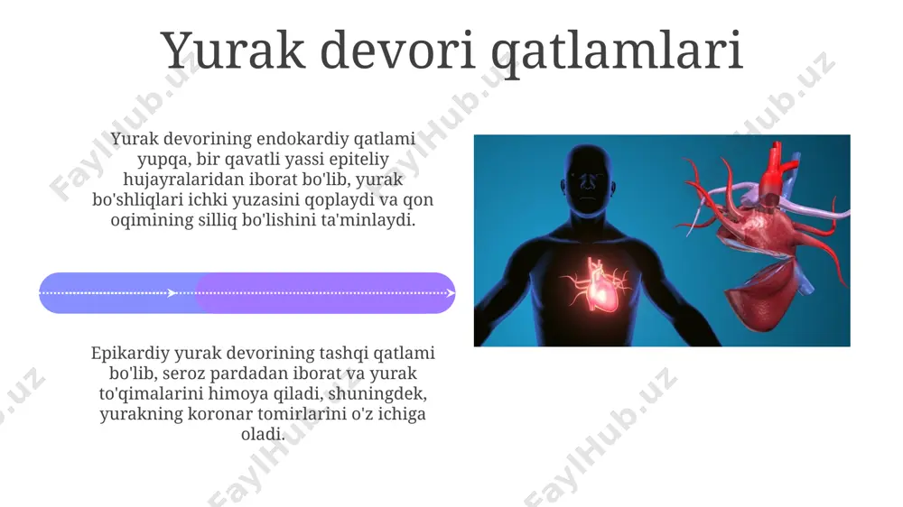 iy mashqlar paytida tezlashadi. purkinye tolalari purkinye tolalarining potentsiali 15-20 mv ni tashkil etadi va bu potentsialning davomiyligi oddiy miokard hujayralariga nisbatan ancha uzoqroq, taxminan 300 ms ga teng. ushbu tolalar yurakning chap qorinchasida zichroq tarmoqlangan va yurak urishining tez va bir xil tarqalishini taʼminlaydi, har bir urishda 200-300 m/s tezlikda impuls oʻtkazadi. elektrokardiogramma (ekq) p to'lqini atriyal depolarizatsiyani, ya'ni atriyadan qorinchalarga elektr impulsining o'tishini aks ettiradi va odatda 0.08-0.12 soniyani tashkil qiladi. uning morfologiyasidagi o'zgarishlar turli patologiyalarni ko'rsatishi mumkin. qorinchalar depolarizatsiyasi qrs kompleksi sifatida ekgda aks etadi va uning davomiyligi odatda 0,06 dan 0,10 soniyagacha bo'ladi. uning kengayishi yurak mushaklarining shikastlanishini ko'rsatishi mumkin. e'tiboringiz uchun rahmat @taqdimot_robot image4.jpg image5.jpg image6.jpg image7.jpg image8.jpg image9.jpg image10.jpg image11.jpg image12.jpg image13.jpg image14.jpg image15.jpg image16.jpg image17.jpg image18.jpg image19.jpg image20.jpg image1.jpeg image2.jpeg image3.jpeg