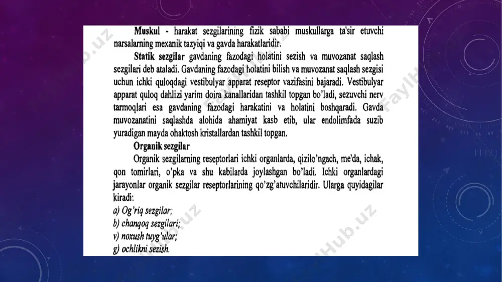 sezgi - Page 5