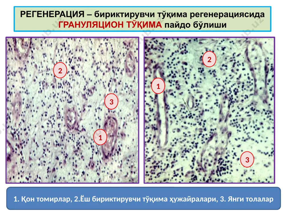 мосланиш-ўрин алмашиниш жараёнлари - Page 4