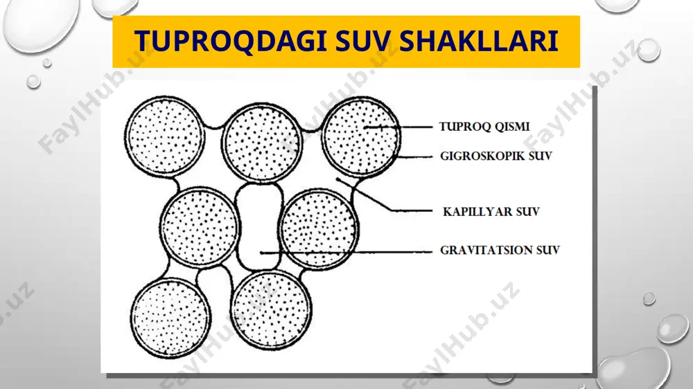 oʼsimlik oʼzlashtira olmaydigan suvning shakli - Page 4