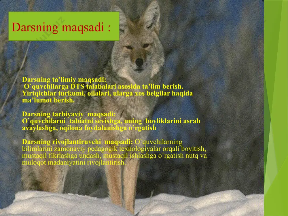 ab tutib oladi yo’lbars silovsin ilvirs arslon gepard mushuk yolbars janubiy osiyo va uzoq sharqda keng tarqalgan u o’lja izlab kuniga 100 km gacha yol yuradi 6-7 metru zunlikka, 2 metr baladlikka sakrashi mumkin,vaazni 300 kg keladi kiyik, to’ng’iz, bug’i kabi yirik hayvonlarni ovlaydi yirik o’lja bo’lmasakemiruvchilar, qush tuxumlari, hatto lichinkalar bilan oziqlanadi arslon gepard mushuklar o’zbekistonning daryo va o’zanlarida to’qay to’qay mushugi,tog’li hududlarda hududlarda ilvirs va silovsin uchrab, ular “o’zbekiston ssssssssssssssssssssssss respublikasining qizil kitobiga kiritilgan. suvsarsimonlar oilasi vakillari va ularga xos belgilar suvsarsimonlar oilasiga mansub yirtqichlarning oyoqlari kalta, tanasi ingichka o’zbekistonda suvsar, qunduz, olaqo’zan latcha va norka, bo’rsiq uchraydi bo’rsiq (qashqaldoq)-tog’ o’rmonlari,to’qay va dashtlarda yashaydi mayda hayvonlar:kemiruvchilar, hasharotlar, to’kilgan mevalar, shuningdek yovvoyi o’simliklarning yer osti poyalari, piyozlari bilan ham oziqlanadi yog’i xalq tabobatida shifobaxsh hisoblanadi bo’rsiq suvsar qunduz olaqo’zan latcha norka qunduz daryo va ko’llarning tik qirg’oqlarini kovlab in quradi u suvda yaxshi suzadi baliq, baqalar, molyuskalar,hasharotlar, ba’zida o’simliklar …