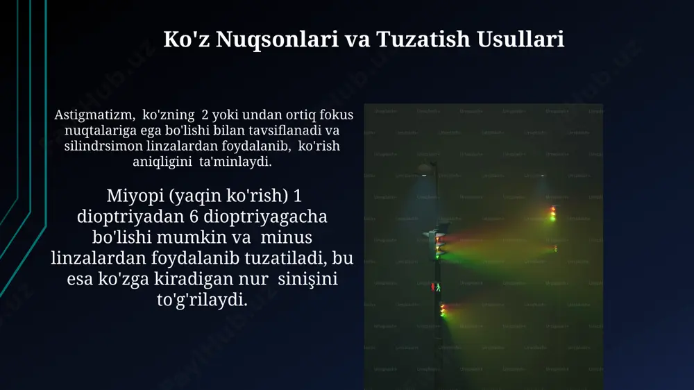 koʻrish tizimi va yorugʻlik optikasi - Page 3