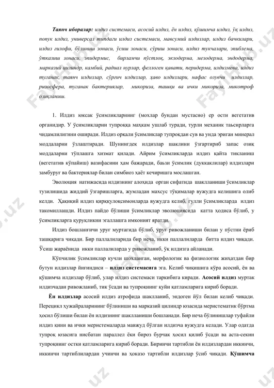 иш жараёнида икки паллалиларда у ривожланиб, ўқ илдизга айланади. кўпчилик ўсимликлар кучли шохланган, морфологик ва физиологик жиҳатдан бир бутун илдизлар йиғиндиси – илдиз системасига эга. келиб чиқишига кўра асосий, ён ва қўшимча илдизлар бўлиб, улар илдиз системаси таркибига киради. асосий илдиз муртак илдизчадан ривожланиб, тик ўсади ва тупроқнинг қуйи қатламларига кириб боради. ён илдизлар асосий илдиз атрофида шаклланиб, эндоген йўл билан келиб чиқади. перецикл ҳужайраларининг бўлиниши ва марказий цилиндр юзасида меристематик бўртма ҳосил бўлиши билан ён илдизнинг шаклланиши бошланади. бир неча бўлинишлар туфайли илдиз қини ва ички меристемаларда мавжуд бўлган илдизча вужудга келади. улар одатда тупроқ юзасига нисбатан параллел ёки бироз бурчак ҳосил қилиб ўсади ва аста-секин тупроқнинг остки қатламларига кириб боради. биринчи тартибли ён илдизлардан иккинчи, иккинчи тартиблилардан учинчи ва ҳоказо тартибли илдизлар ўсиб чиқади. қўшимча илдизлар ўсимликнинг турли органларидан – пояси, илдизи, баргидан ҳосил бўлади. улар перицикл, камбий ва ҳатто феллогендан эндоген йўл билан шаклланади. кўпчилик ўсимликларнинг ер …