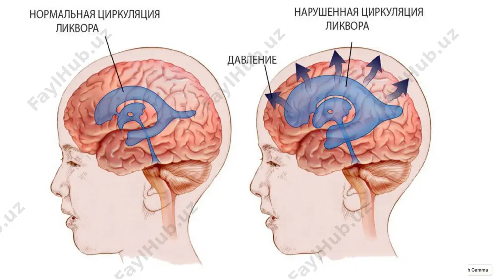 g image18.png image19.png image20.jpeg