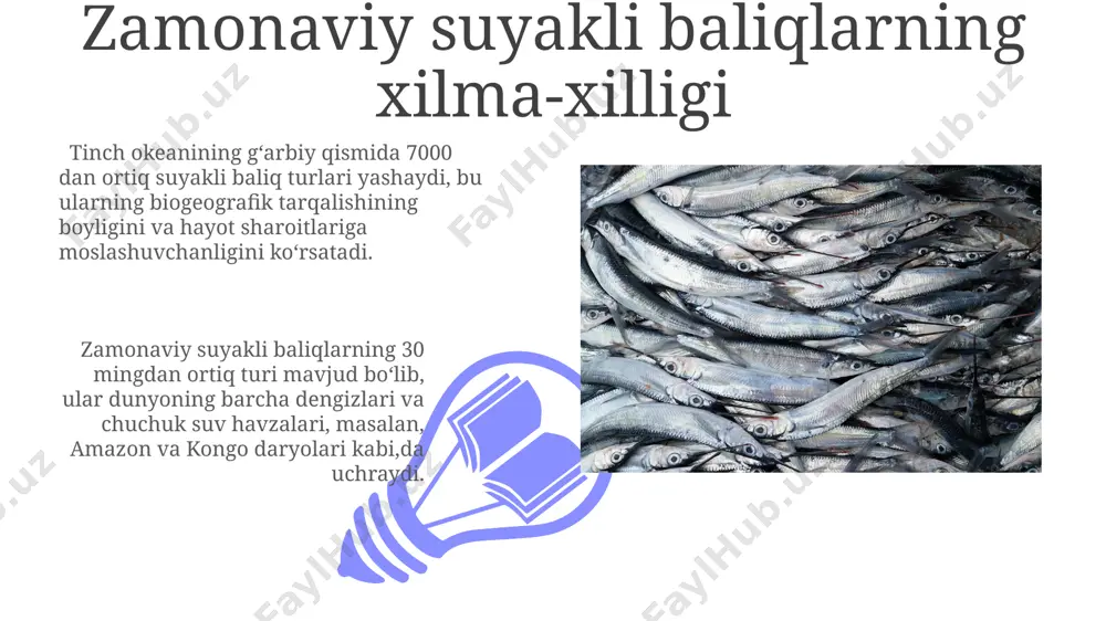 suyakli baliqlarning kelib chiqishi evolyutsiyasi va sistematikasi - Page 3