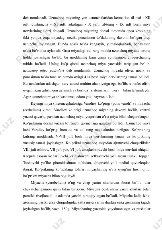 agi kul rang modda uzunchoq miyada tarqoq holda joylashgan bo’lib, bu moddaning kam qismi rombsimon chuqurchaning tubida bo’ladi. uning ko’p qismi uzunchoq miya yuzasida tarqalgan bo’lib, uzunchoq miya yadrolari deb nomlanadi. uzunchoq miyada oliva, nozik va ponasimon to’da tanalari hamda oxirgi 4 ta bosh miya nervlarining tanasi bo’ladi. bu tanalardan adashgan nerv tanasi muhim ahamiyatga ega bo’lib, u nafas olish, ovqat hazm qilish, qon aylanish va boshqa sistemalarni nerv bilan ta’minlaydi. agar uzunchoq miya shikastlansa, odam yoki hayvon o’ladi. keyingi miya (metencephalon)ga varoliev ko’prigi (pons varoli) va miyacha (cerbellum) kiradi. varoliev ko’prigi uzunchoq miyaning davomi bo’lib, ventral yuzasi qavariq, pastdan uzunchoq miya, yuqoridan o’rta miya bilan chegaralangan. ko’prikning dorsal yuzasi to’rtinchi qorinchaga qaragan bo’ladi. uzunchoq miya kabi varoliev ko’prigi ham oq va kul rang moddalardan tuzilgan. ko’prikning kulrang moddasida v-vii juft bosh miya nervlarining tanasi va ko’prikning xususiy tanasi joylashgan. ko’prikni uzunchoq miyadan ajratuvchi chuqurlikdan viii juft eshituv, vii juft …