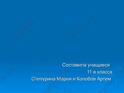 эрмитаж — PPT