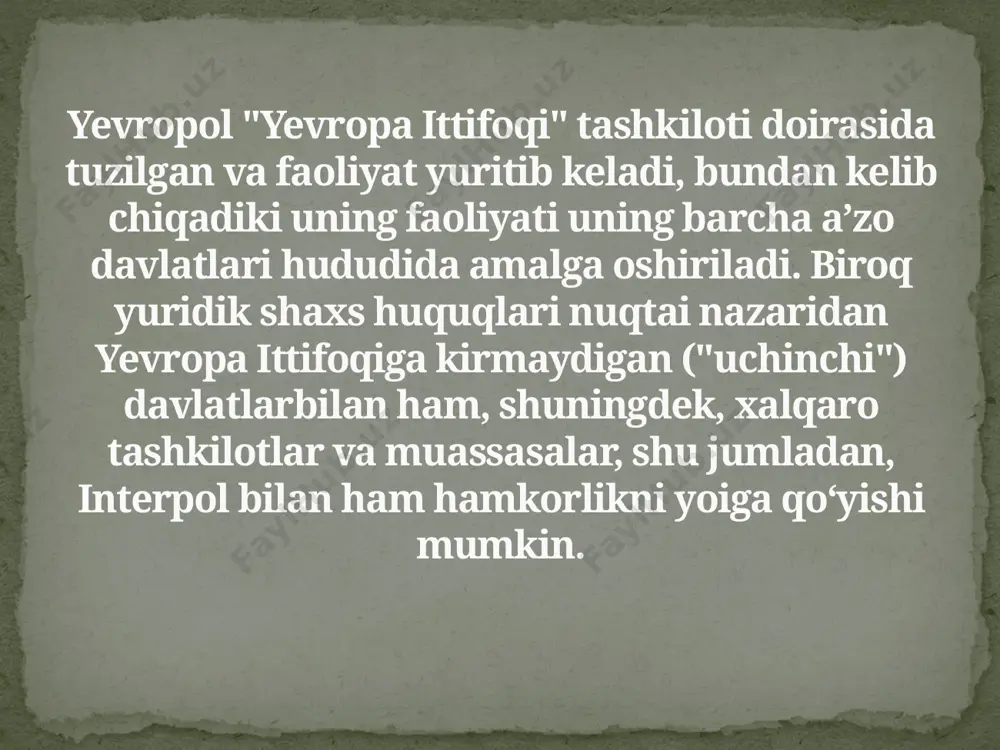 yevropa ittifoqidasud va politika hamkorligi-yevropol - Page 3
