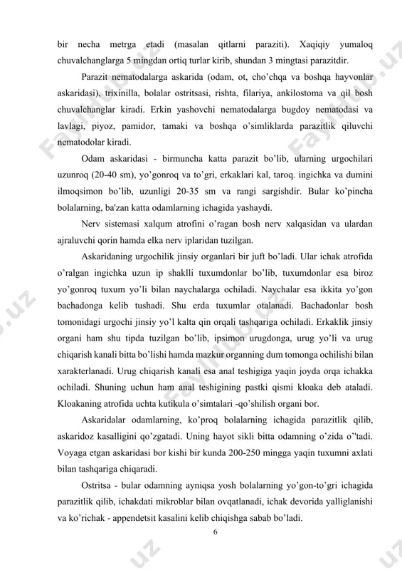 akka ochiladi. shuning uchun ham anal teshigining pastki qismi kloaka deb ataladi. kloakaning atrofida uchta kutikula o’simtalari -qo’shilish organi bor. askaridalar odamlarning, ko’proq bolalarning ichagida parazitlik qilib, askaridoz kasalligini qo’zgatadi. uning hayot sikli bitta odamning o’zida o’'tadi. voyaga etgan askaridasi bor kishi bir kunda 200-250 mingga yaqin tuxumni axlati bilan tashqariga chiqaradi. ostritsa - bular odamning ayniqsa yosh bolalarning yo’gon-to’gri ichagida parazitlik qilib, ichakdati mikroblar bilan ovqatlanadi, ichak devorida yalliglanishi va ko’richak - appendetsit kasalini kelib chiqishga sabab bo’ladi. 3. erkin yashovchi nematodalarning ko’pchilik vakillari dengizlarda, chuchuk suvlarda va tuproqda yashaydilar. bular juda mayda bo’lib, juda ko’p o’simliklarda parazitlik qilib yashaydi. o’simliklarda parazitlik qiluvchi nematodalar 1000 dan ortiq turni o’z ichiga olib, ular juda ko’p madaniy o’simliklarning to’qimalarida yashab, ularga katta zarar etkazadi. bir qancha o’simliklarga virus kasalligini tarqatadi. bularga: poya nematodlari - piyoz, sarimsoq, loviya, kartoshka nematodolario’simliklarning tanasida, ildizida parazitlik bilan yashaydi va mahsulotga zarar etkazadi, ildiz nematodalari - …
