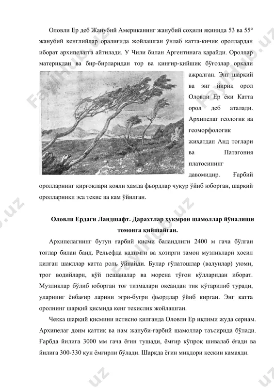 учун қулай. ғарбда қор чегараси 500 м баландликда жойлашган ва музлар бевосита океанга тушиб, айсбергларни ҳосил қилади. тоғ тизмаларини муз қоплаган ва фақат ўткир чўққиларгина муздан баланд кўтарилиб туради. архипелагнинг тор океан соҳилида, асосан ғарбий соҳилида доимий яшил ва барг тўкувчи дарахтлардан ташкил топган ўрмонлар ўсади. жанубий бук, магнолия гуллилардан оқ хушбўй гуллайдиган канело (drumis winteri) ва баъзи бир тур игнабартлилар характерлидир. ўрмонларнинг юқориги чегараси қор чегарасига деярли тўғри келади. айрим жойларда 500 м дан юқорида, баъзан денгиз бўйида ҳам (шарқда) ўрмонлар сийрак субарктика тоғ ўтлоқлари билан алмашинади, бу ўтлоқларда гуллайдиган ўсимликлар ва торфзорлар йуқ. доим кучли шамоллар эсиб турадиган районларда сийрак ва паст бўйли қинғир-қийшиқ дарахтлар ҳамда буталар тўп-тўп бўлиб ўсади, уларнинг шох-шаббалари байроққа ўхшаб шамол кетаётган томонга чўзилган. оловли ер архипелаги ва жанубий анд тоғлари ўлкасининг ҳайвонот дунёси тахминан бир хил ҳамда жуда ўзига хосдир. бу ерда гуанако билай бирга ҳаво ранг тулки, тулкисимон ит ёки магелан ити …