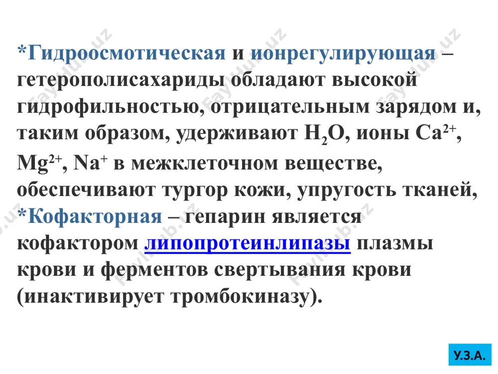 амилаза у.з.а. сахаразо-изомальтазный комплекс– (сахараза) в тощей кишке гидролизует α-1,2-, α-1,4-, α-1,6-гликозидные связи, расщепляет сахарозу, мальтозу, мальтотриозу, изомальтозу, гликоамилазный комплекс –расщепляет -1,4-гликозидные связи в олигосахаридах, α-гликозидазный комплекс (устаревшее название лактаза) – гидролизует α-1,4-гликозидные связи между галактозой и глюкозой (лактозу). у детей активность лактазы очень высока уже до рождения и сохраняется на высоком уровне до 5-7 лет, после чего снижается. у.з.а. транспорт из крови через мембраны клеток из крови внутрь клеток глюкоза попадает при помощи облегченной диффузии по градиенту концентрации с участием белков-переносчиков (глюкозных транспортеров "глют"). различают 5 видов транспортеров глюкозы глют 1, глют 2, глют 3, глют 4, глют 5. глюкозные транспортеры имеются на мембранах всех клеток. у.з.а. в мышцах и жировой ткани находится глют 4, только эти транспортеры являются чувствительными к влиянию инсулина. при действии инсулина на клетку они поднимаются к поверхности мембраны и переносят глюкозу внутрь. указанные ткани получили название инсулинзависимых. у.з.а. некоторые ткани совершенно нечувствительны к действию …