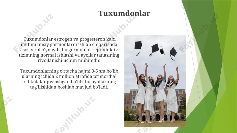 shilliq qavatining qalinlashuviga va urug'lantirish uchun tayyor bo'lishiga yordam beradi. taxminan 20% hollarda ikki tuxum hujayra chiqadi, bu esa egizaklar tug'ilishiga olib kelishi mumkin. gimen gimenning uzunligi ayollarda o'rtacha 8-10 sm ni tashkil etadi va bu uzunlik individual farqlarga, shuningdek, jinsiy balog'at yoshiga va tug'ruqlar soniga bog'liq bo'ladi. bu o'lchovlar toshkentdagi tibbiyot tadqiqotlari markazining ma'lumotlariga asoslangan. gimenning yorilishi qizlik pardasining bir qismi bo'lib, birinchi jinsiy aloqada yoki boshqa fizik ta'sirlar natijasida 70% hollarda qon ketishi bilan birga keladi, ammo bu har doim ham shunday emas. bu amerika ginekologik jamiyatining ma'lumotlariga mos keladi. vagina qinning devorlari ko'plab qon tomirlariga ega bo'lib, jinsiy qo'zg'alish paytida qon bilan to'lishi natijasida kengayadi va namlanadi, bu esa jinsiy aloqani osonlashtiradi. dunyo bo'ylab 3 milliarddan ortiq ayol qinning normal anatomiyasiga ega. qinning ichki qismida laktatobasilluslar kabi foydali bakteriyalar yashaydi, ular qin florasini saqlab, zararli bakteriyalar ko'payishini oldini oladi. taxminan 70% ayolda bu bakteriyalar normal tarzda mavjud. …
