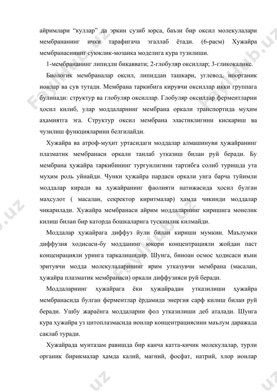 з йули билан кириб, унда концентрациясини оширса, ҳужайранинг плазматик мембранасидаги ферментлар ҳамда энергия сарфи (ионларни фаол ташкарига чикариш) билан шу ион концентрациясининг ҳужайрадаги тургунлигини таъминлайди. ионнинг ҳужайрага кириши ва чикарилиши мутаносиблигидаги узгариш ҳужайра мембранасининг функционал ҳолатини узгартиради (нерв ҳужайраларидаги кузгалиш импульсини айрим ҳужайраларда секреция жараёнини юзага келтиради) ҳамда ҳужайра ичи ва уни ураган муҳитдаги бошка ионларнинг ҳолатиги таъсир этади. шу “насос” нинг мавжудлиги усимлик ҳужайраларининг тарангли-босимини юзага келтиради ва усимликларнинг яшаш шароитига караб, унинг сулиб колиш ва кайта олдинги ҳолатга кайтишини таъминлайди. хужайраларга турли ионларнинг кириши ва чикиши юкорида баён этилган “насос” жараёни оркали юз берса, айрим органик моддалар (глюкоза) нинг кириб чикиши эса фаол утказиш жараёни билан амалга ошади. агар ҳужайрада органик молекула кам булса, у модда диффузия йули билан ҳужайрага киришни давом эттиради. хужайрада шу модданинг конценрацияси ортиб кетса-да, унинг нормал фаолияти шуни такоза этса шу модда ҳужайрага киришни давом эттиради. модда шу ҳужайранинг плазматик мембранасидаги “ташувчи” модда …