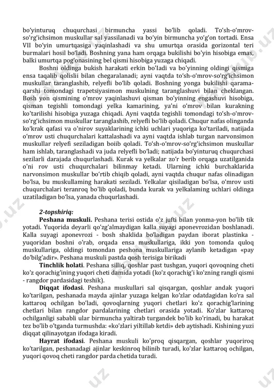 ladigan bo‘lsa, yanada chuqurlashadi. 2-topshiriq: peshana muskuli. peshana terisi ostida o’z jufti bilan yonma-yon bo’lib tik yotadi. yuqorida deyarli qo’zg’almaydigan kalla suyagi aponevrozidan boshlanadi. kalla suyagi aponevrozi - bosh shaklida bo’ladigan paydan iborat plastinka - yuqoridan boshni o’rab, orqada ensa muskullariga, ikki yon tomonda quloq muskullariga, oldingi tomondan peshona muskullariga aylanib ketadigan «pay do’bilg’adir». peshana muskuli pastda qosh terisiga birikadi tinchlik holati. peshana silliq, qoshlar past tushgan, yuqori qovoqning cheti ko’z qorachig’ining yuqori cheti damida yotadi (ko’z qorachig’i ko’zning rangli qismi - rangdor pardasidagi teshik). diqqat ifodasi. peshana muskullari sal qisqargan, qoshlar andak yuqori ko’tarilgan, peshanada mayda ajinlar yuzaga kelgan ko’zlar odatdagidan ko’ra sal kattaroq ochilgan bo’ladi, qovoqlarning yuqori chetlari ko’z qorachig’larining chetlari bilan rangdor pardalarining chetlari orasida yotadi. ko’zlar kattaroq ochilganligi sababli ular birmuncha yaltirab turgandek bo’lib ko’rinadi, bu harakat tez bo’lib o’tganda turmushda: «ko’zlari yiltillab ketdi» deb aytishadi. kishining yuzi diqqat qilinayotgan ifodaga kiradi. hayrat ifodasi. peshana muskuli …