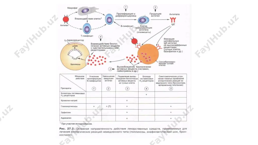 tez rivojlanuvchi allergiyaga qarshi vositalar - Page 4