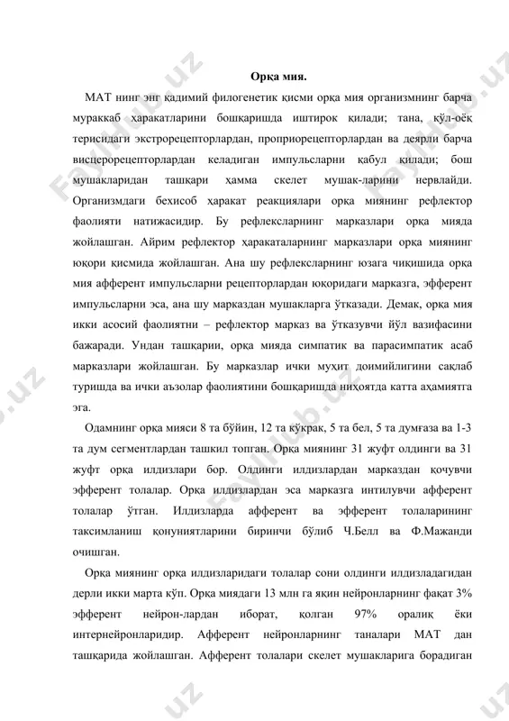 oldingi va 31 juft orqa ildizlari bor. oldingi ildizlardan markazdan qochuvchi efferent tolalar. orqa ildizlardan esa markazga intiluvchi afferent tolalar o'tgan. ildizlarda afferent va efferent tolalarining taksimlanish qonuniyatlarini birinchi bo'lib ch.bell va f.majandi ochishgan. orqa miyaning orqa ildizlaridagi tolalar soni oldingi ildizladagidan derli ikki marta ko'p. orqa miyadagi 13 mln ga yaqin neyronlarning faqat 3% efferent neyron-lardan iborat, qolgan 97% oraliq yoki interneyronlaridir. afferent neyronlarning tanalari mat dan tashqarida joylashgan. afferent tolalari skelet mushaklariga boradigan neyronlarning spinal tugunlarida, ichki a'zolarining sezgirligini ekstramural va intramural tugunlarida joylashgan. afferent neyronning yakka o'simtasi bo'lib, somadan sal uzoqlashgach ikki shoxga bo'linadi. biri retseptordan qo'zg'alishni somaga, ikkinchisi impulslarni somadan orqa yoki bosh miyadagi neyronlarga etkazadi. bu tolalarning yo'g'onligi va o'tkazish tezligiga asoslanib a, v va s guruhlarga ajratiladi. orqa miyaning efferent neyronlari b - va g – motoneyronlardan, hamda vatning preganglionar neyronlaridan tashkil topgan. b – motoneyronlar orqa miyada shakllangan signallarni skelet mushaklariga etkazadi. bu …