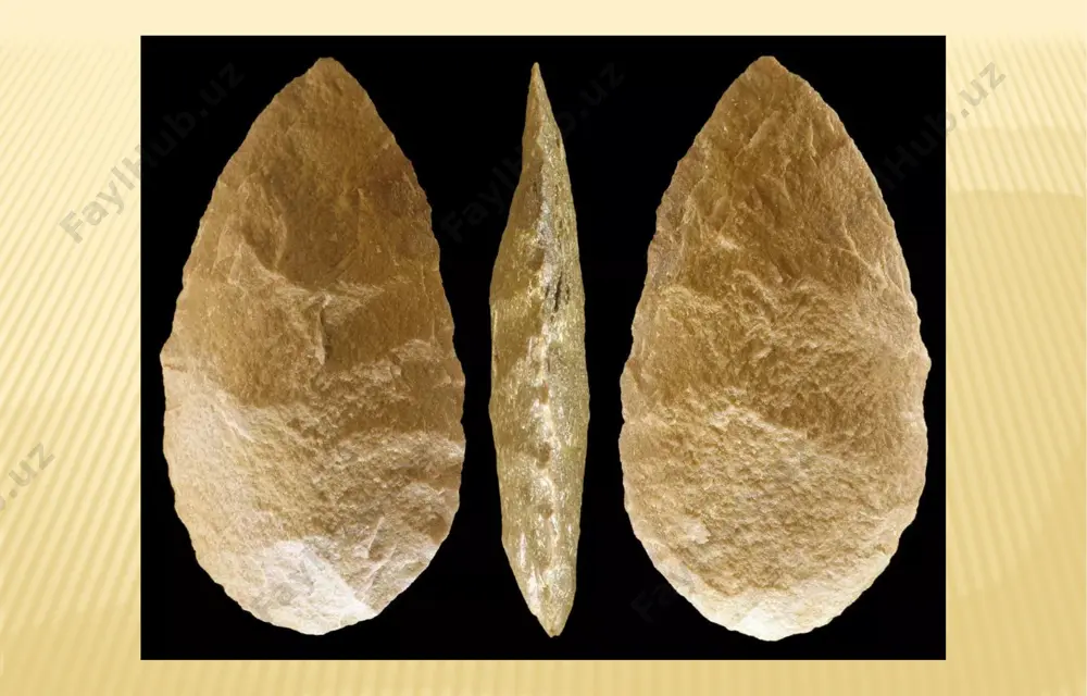 alardan yasalgan; bu plastinkalar yangi sindirish texnikasini qo’llanib, disk (gardish) shaklidagi nukleuslarga (yadro) otboynik (tosh) bilan urib hosil qilingan. qisqa va keng qurollar tayyorlangan. o’tkir uchli qurolning asosiy ishni bajaradigan qismi-o’tkir cho’qqisi, tarashlagichning asosiy qismi esa–uch burchakli plastinkaning yoysimon tagidir. must’e davrida shakli jihatdan tarashlagichga o’xshab ketadigan bo’lsa ham, lekin ishni bajaradigan chetidagi chuqurchasi bilan farq qiladigan o’roq randa paydo bo’lgan. bu asbob bilan randalashgan, po’stloqni shilib olishgan. mavlonova r.a., to’rayev o.t., xoliqberdiyev k.m. - «pedagogika» t., «o’qituvchi » - 2008 yil. bo’ri ziyomuhedov. “ilm hikmati.” abu ali ibn sino nomidagi tibbiyot nashriyoti. 1999 y o’zbekiston respublikasining “ta’lim to’g’risida” gi qonuni (barkamol avlod – o’zbekiston taraqqiyotining poydevori). 1997 yil. t.,“sharq” nashriyoti. r.mavlonova, n.vohidova, n.raxmonqulova. «pedagogika nazariyasi va tarixi». darslik. fan va texnologiyalar, t., 2010 yil. w.w.w. /pedagog/ uz..