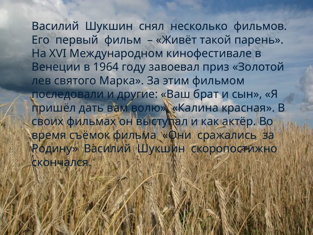 василий макарович шукшин. упорный 11 - sinf - Page 3