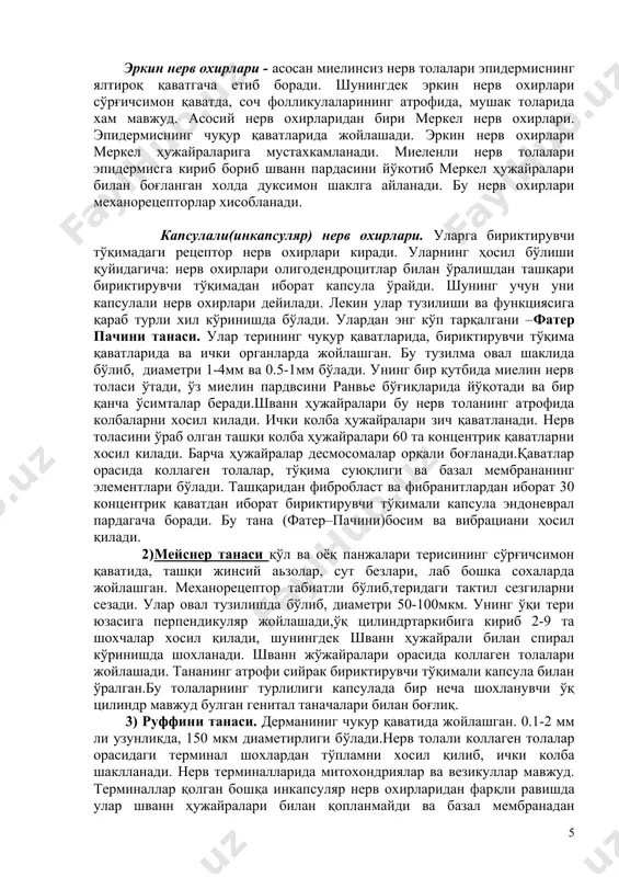 тохондрия, рибосома, ацетилхолинни бузувчи ацетилхолинэстераза ферментини тутувчи мушак толаси сохасига айтилади. секретор нерв охирлари-симпатик пуфакчага эга, ўзида ацетилхолин тутувчи, безларга бориб тугайдиган толалар охиридир. сезувчи нерв охирлари-рецепторлар. сезувчи нейроннинг терминал дендритлари хисобланади. улар иккига бўлинади: 1) эркин 2) эркин бўлмаган: а) капсулали б) капсуласиз эркин нерв охирлари - асосан миелинсиз нерв толалари эпидермиснинг ялтироқ қаватгача етиб боради. шунингдек эркин нерв охирлари сўрғичсимон қаватда, соч фолликулаларининг атрофида, мушак толарида хам мавжуд. асосий нерв охирларидан бири меркел нерв охирлари. эпидермиснинг чуқур қаватларида жойлашади. эркин нерв охирлари меркел ҳужайраларига мустахкамланади. миеленли нерв толалари эпидермисга кириб бориб шванн пардасини йўкотиб меркел ҳужайралари билан боғланган холда дуксимон шаклга айланади. бу нерв охирлари механорецепторлар хисобланади. капсулали(инкапсуляр) нерв охирлари. уларга бириктирувчи тўқимадаги рецептор нерв охирлари киради. уларнинг ҳосил бўлиши қуйидагича: нерв охирлари олигодендроцитлар билан ўралишдан ташқари бириктирувчи тўқимадан иборат капсула ўрайди. шунинг учун уни капсулали нерв охирлари дейилади. лекин улар тузилиши ва функциясига қараб турли хил кўринишда …