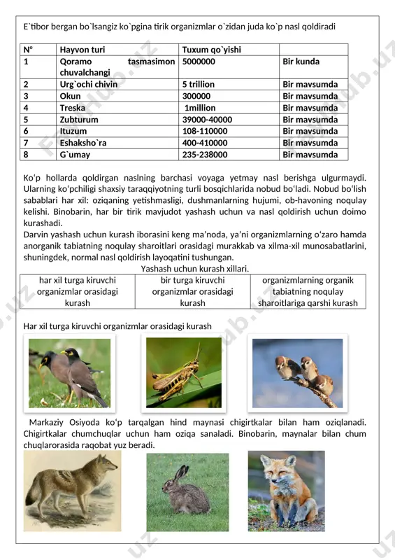 oziqaning yetishmasligi, dushmanlarning hujumi, ob-havoning noqulay kelishi. binobarin, har bir tirik mavjudot yashash uchun va nasl qoldirish uchun doimo kurashadi. darvin yashash uchun kurash iborasini keng ma’noda, ya’ni organizmlarning o‘zaro hamda anorganik tabiatning noqulay sharoitlari orasidagi murakkab va xilma-xil munosabatlarini, shuningdek, normal nasl qoldirish layoqatini tushungan. yashash uchun kurash xillari. har xil turga kiruvchi organizmlar orasidagi kurash bir turga kiruvchi organizmlar orasidagi kurash organizmlarning organik tabiatning noqulay sharoitlariga qarshi kurash har xil turga kiruvchi organizmlar orasidagi kurash markaziy osiyoda ko‘p tarqalgan hind maynasi chigirtkalar bilan ham oziqlanadi. chigirtkalar chumchuqlar uchun ham oziqa sanaladi. binobarin, maynalar bilan chum chuqlarorasida raqobat yuz beradi. har xil turlarga mansub organizmlar orasidagi kurash niho yatda turli tuman. bo‘ri va tulkilar tovushqonlar bilan oziqlanadilar. shunga ko‘ra bo‘rilar bilan tul ki lar, shuningdek, tulkilar bilan tovushqonlar orasida doimo yashash uchun o‘zaro kurash tuyoqli hayvonlar o‘simliklar bilan oziqlanadi. o‘simliklar bilan chigirtkalar ham oziq lanadi. chigirtkalarning tez ko‘payishi tuyoqli …