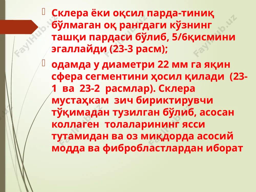 fotoretsepsiyaning morfologikasoslar - Page 4