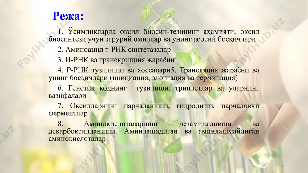 оталар иштирок этади, деган ғоянинг вужудга келиши бу муаммонинг самарали ҳал этилишига имкон берди. * оқсил биосинтезининг умумий механизми барча тирик организмларда, жумладан, ўсимликларда ҳам бир хил бўлиб, қуйидаги асосий босқичлардан иборат. дастлаб аминокислоталар махсус ферментлар иштирокида атф билан реакцияга киришиб активлашади. сўнгра активлашган амино-кислоталар транспорт рнклар ёрдамида оқсил синтез қилинадиган жойга, яъни рибосомаларга кўчади. учинчи босқичда транспорт рнклар мунтазам равишда информацион рнкдаги тартиб бўйича жойлашади. ниҳоят, тўртинчи босқичда оқсил молекуласи ўзига хос бўлган учламчи структурага эга бўлади. * оқсил ҳосил бўлишида иштирок этадиган аминокислоталар аввал актив ҳолатга ўтиши керак. улар атфнинг энергияга бой бўлган пирофосфат боғлари ҳисобига активлашади. бу процессда аминокислота-ларнинг карбоксил группаси атф билан ўзаро реакцияга киришиб, амино-ациладенилат бирикмалар ҳосил қилади ва пирофосфат ажралиб чиқади. аминоациладенилатлар ҳосил бўлиш реак-циялари махсус ферментлар иштирокида катализланади, бу ферментлар активлаш-тирувчи ферментлар ёки аминоацил-рнк-синтетазалар деб юритилади. * юксак ўсимликларда 20 хил аминокислота бўлиб, уларни активлаштирувчи фермент-ларнинг барчаси топилмаган бўлса-да, бироқ кўпчилиги активлашиши кузатилган. …