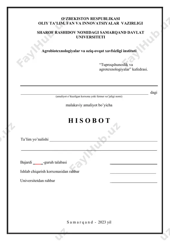 malakaviy amaliyot bo‘yicha hisobot shabloni - Page 2