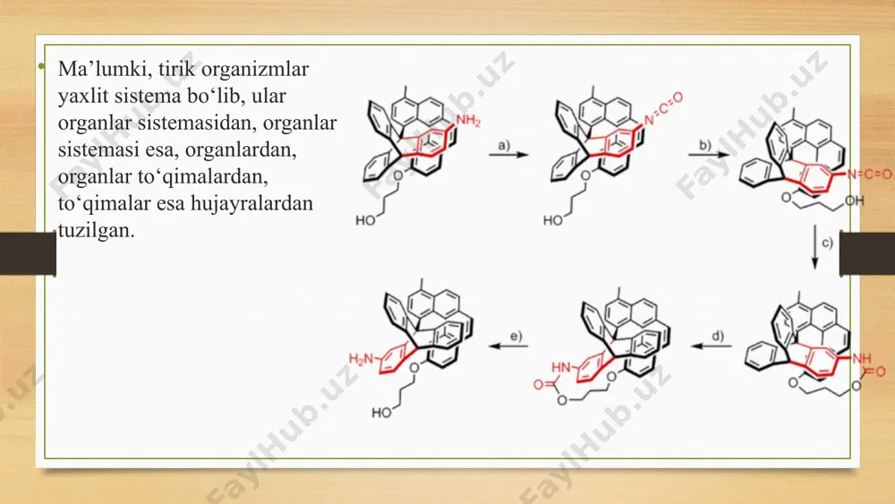 n, nuklein kislota molekulalari irsiy axborotni saqlash, irsiyatni keyingi avlodga o‘tkazish vazifasini bajaradi. lipidlar hujayraning biologik membranasi, hujayra organoidlarining tuzilishida ishtirok etadi. oqsillar hujayrada sodir bo‘ladigan barcha biokimyo viy jarayonlarni boshqarish va katalizator sifatida mazkur jarayonni jadal borishida ishtirok etadi. hayotni molekula darajada o‘rganishning ahamiyati. hayotni molekula darajada o‘rganishda asosiy e’tibor yerda hayotning paydo bo‘lishi va rivojlanishi, tirik organizmlarning yashashi uchun qulay muhitning vujudga kelishiga zamin yaratadigan fotosintez jarayoniga qaratiladi. quyosh nuri ta’sirida xlorofi ll ishtirokida anorganik moddalardan organik moddalarning sintezlanishi fotosintez jarayoni ekanligi sizga ma’lum. fotosintez jarayonida quyoshning yorug‘lik energiyasi organik birikmalarning tarkibidagi kimyoviy bog‘lar energiyasi shaklida jamlanadi. mazkur organik birikmalarning parchalanishi natijasida hosil bo‘lgan energiya hisobiga barcha tirik organizmlarning yagona va universal energiya manbayi makroergik bog‘larga ega atf (adenozintrifosfat) sintezlanadi. atf barcha tirik organizmlar, ayniqsa, geterotrof organizmlar uchun asosiy energiya manbayi bo‘lib xizmat qiladi. fotosintez jarayonining mukammal o‘rganilishi kelgusida sayyoramizda hayotning saqlanib qolishi, ekologik muammolarning oldini olish, qishloq …