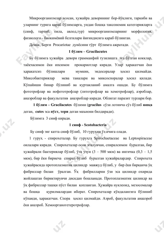 йди. 3 гуруҳ - аэроб грамманфий таёқча ва коккилар. бу гуруҳга етти оила кириб шундан учтаси тупроқ ҳосилдорлигини оширишда катта аҳамиятга эгадир. рseudomonaceae оиласига рseudomonas авлоди кириб, спорасиз тўғри ва озгина қайрилган поляр жойлашган хивчинли бактерияларни ўз ичига олади. псевдомонадалар табиатда жуда кенг тарқалган (ҳар хил тупроқларда, сувда, оқава сувларда ва ҳавода). хемоорганотрофлар, улар ҳар хил органик моддаларни ишлатади (оқсиллар, ёғлар, углеводлар ва гумус моддалари). баъзи вакиллари нитратларни эркин азотгача қайтариши мумкин (денитрификация). xanthomonas авлоди вакиллари ўсимликларда касаллик қўзғатади. azotobacteriaceae оиласи вакиллари йирик таёқчасимон, овал, шарсимон ҳужайраларга эга. ҳаракатчан. спора ҳосил қилмайди. гетеротроф. бу оиланинг характерли хусусияти эркин азотни ўзлаштиришидир. табиатда жуда кенг тарқалган. оила тўрт авлодни ўз ичига олади. azotobacter ва azomonas авлодлари энг аҳамиятга моликларидан бўлиб, тупроқда жуда кенг тарқалган. rhizobiaceae оиласи вакиллари таёқчасимон, ҳаракатчан, спора ҳосил қилмайдиган бактериялардир. хемоорганотрофлар. rhizobium авлоди вакиллари дуккакли ўсимликлар илдизларида туганаклар ҳосил қилади, улар ўсимликлар билан симбиоз ҳолда яшаб эркин азотни ўзлаштиради. …