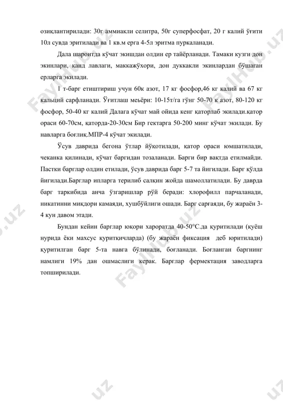 тамаки экини - Page 3