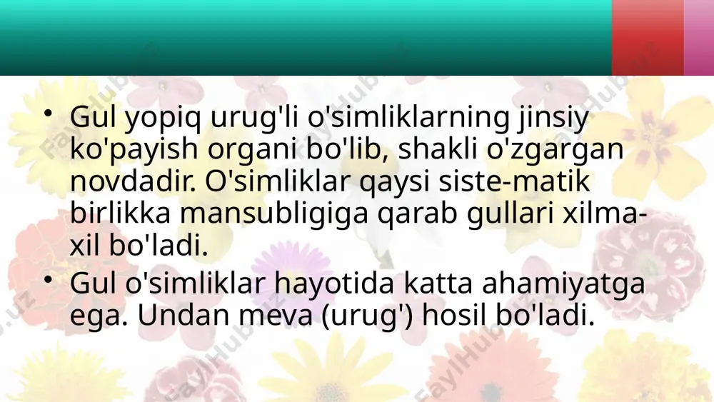 - urug'chi (ustun-cha)ning eng yuqori qismi - uchi. u changlarni ushlash uchun xizmat qi-ladi. gulqo'rg'on - gul ochilguncha changchi va urug'chilarni o'rab, tash-qi ta'sirdan saqlab turadi. u oddiy yoki murakkab bo'ladi. agar gulqo'rg'on gulkosacha va 42-rasm. urug'chi gultojdan tashkil topgan bo'lsa, mu- rakkab gulqo'rg'on deyiladi. ko'p- chilik o'simliklar (olma, olcha, nok, na'matak, g'o'za)ning guli murakkab gulqo'rg'onli bo'ladi gulqo'rg'on bo'laklari qo'shilgan yoki qo'shilmagan gullar ham bor. gulqo'rg'on bo'laklari qo'shilgan gullarga qo'ypechak, karnaygul, marmarak kabilarning guli misol bo'ladi. gulqo'rg'on bo'laklari qo'shilmagan (erkin) gullar­ga olma, nok, g'o'za, o'sma, lola, boychechak va boshqa o'simliklarning gullari kiradi. tabiatda yana shunday gulli o'simliklar borki, ular guli-ning gulqo'rg'oni yo'qolib ketgan yoki tangachaga aylan-gan. bularga tol, terak, tut, yong'oq kabilar kiradi. gullarning tuzilishi bilan tanishishni osonlashtirish maq-sadida gullarning diagrammasi va formulasidan foydalani-ladi. gul tuzilishining sxema bilan ifodalanishiga gul dia­grammasi deyiladi. formulada gul qismlarining nomi shu qism nomining boshlang'ich harfi bilan, soni esa raqamlar bilan belgilanadi. masalan, gulkosachabarglar - …