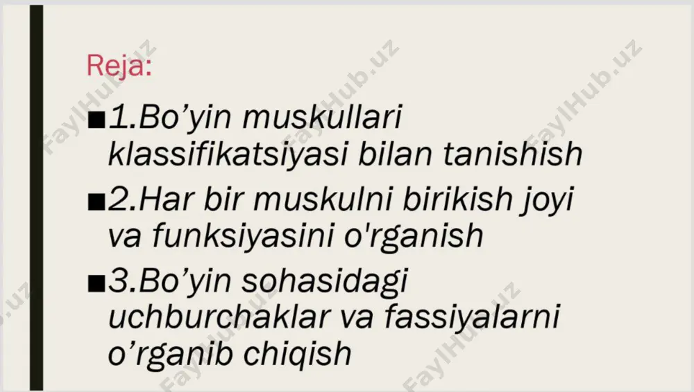 bo'yin uskullari va bo'yin topografiyasi - Page 2