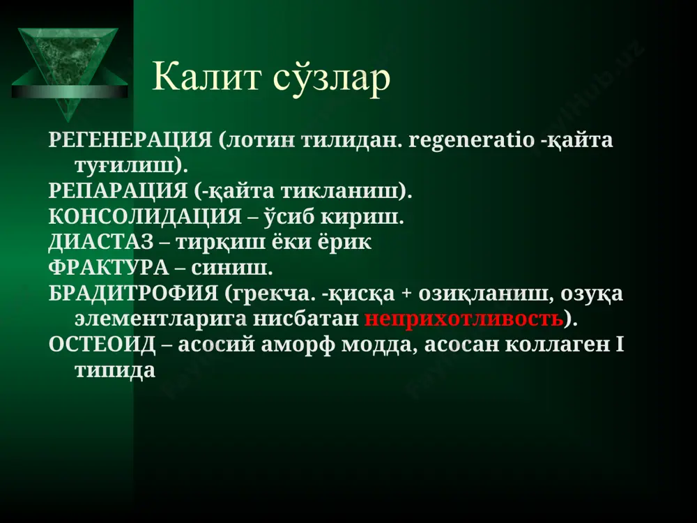 ёт тарзидаги регенерация бўлиб, одатда жарохатлар ёки орган қисми йўқотилиши билан боғлиқ эмас репаратив регенерация- жарохатлар ёки қайсидир орган ёки организмнинг қисмини йўқотилишида юзага келадиган регенерация суяк тўқимасининг репаратив регенерацияси кўп босқичли жараёндир. хар бир босқич олдингисининг бевосита давомидир бу жараён турли олимлар томонидан хар хил босқичларга бўлинган. - а.в. каплан 5 босқич - ю.г. шапошкин 4 босқич - г.п. котельников ва с.п. миронов 5 босқич р. уотсон-джонс 3 босқич 1 - периостальная; 2 - эндостальная; 3 - интермедиарная; 4 - параоссальная ю.г. шапошкин бўйича репаратив регенерация босқичлари суяк тўқимасининг репаратив регенерацияси бошқа тўқималардаги каби 4 босқичдан иборат: 1. қон айланишининг ўткир бузилиш фазаси 2. хужайра ва тўқима структураларининг дезорганизация фазаси 3. пролиферация фазаси 4. дифференцияция фазаси ю.г. шапошкин бўйича репаратив регенерация босқичлари биринчи фаза- ўткир қон айланиши бузилиши фазаси синишлардан сўнг суяк тўқимасининг нормал артериал ва веноз қон айланиши бузилади проксимал ва дистал бўлаклар ягона суяк ичи томир тизими …