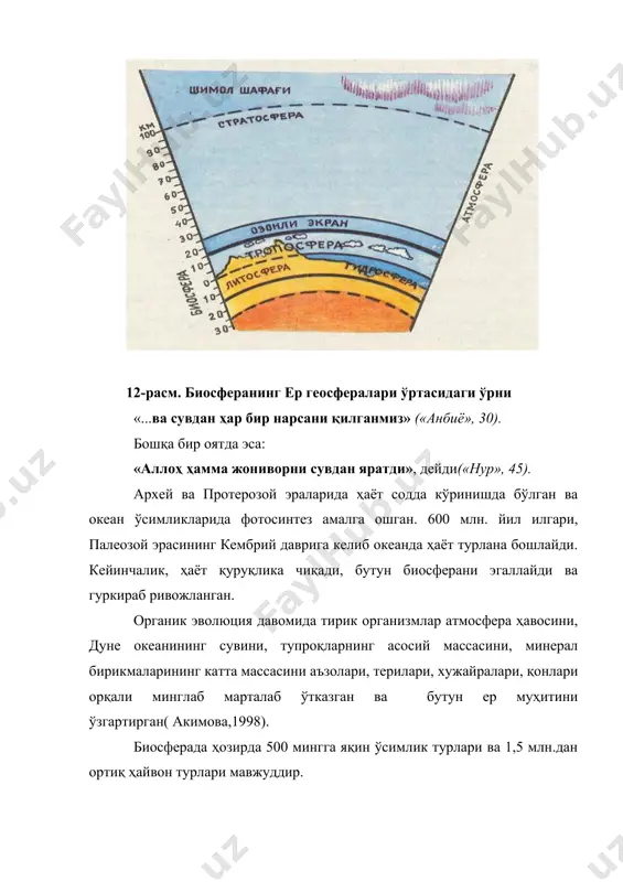 кдаги ўсимликларга(2-жадвал) тўғри келади ва ялпи биомассанинг кимёвий таркибини белгилайди. дунё океанининг биомассаси биосфера биомассасининг 0,57%ини ташкил қилади, лекин маҳсулдорлиги ката. биосфера биомасси(қуруқ модда ҳисобида) 1,4 трлн.тоннага тенг келса, унинг йиллик маҳсулдорлиги ўн марта камдир(акимова, 1998). 3-жадвал биосферадаги ўсимлик ва ҳайвонлар биомассаси(акимова,1998) биомасса млрд.т % қуруқлик биотаси ўсимликлар 1341,3 98,62 ҳайвонлар 10,9 0,81 жами: 1352,2 99,43 океан биотаси ўсимликлар 0,7 0,05 ҳайвонлар 7,1 0,52 жами: 7,8 0,57 ҳаммаси 1360,0 100,0 биосферада модда ва энергиянинг айланма ҳаракатлари тўхтовсиз амалга ошади. моддаларнинг айланма ҳаракати деганда кимёвий элементларнинг кўчиб юриши, ёки миграцияси тушунилади. кичик биологик ва катта геологик айланма ҳаракатлар ажратилади. биологик айланма ҳаракатда қатнашадиган организмларнинг продуцент, консумент ва редуцент экологик гуруҳлари ажратилади. продуцентлар углерод, қуёш энергияси ва сув иштирокида органик маҳсулотларни яратади, консументлар бирламчи маҳсулотни истеъмол қилади ва редуцентлар органик моддаларни парчалайди. яшил ўсимликлар қуёш энергиясидан фойдаланиб, тирик моддаларнинг бирламчи маҳсулотини ҳосил қилади, со2 ни ўзлаштириб о2 ни ажратади. ҳайвонлар ўсимликлар билан …